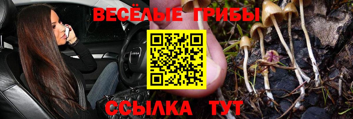 Галлюциногенные грибы GOLDEN TEACHER  Вход с VPN  Петрозаводск 