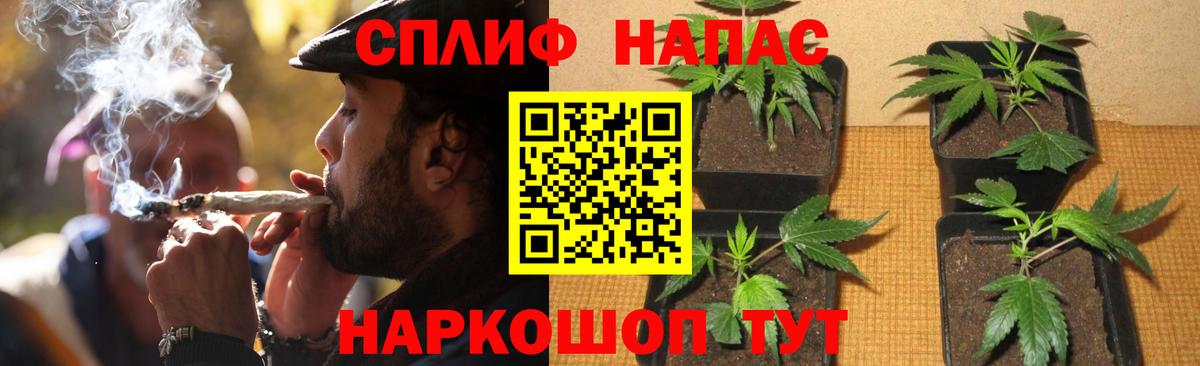 Петрозаводск  Марихуана план  Конопля SATIVA & INDICA  Канабис THC 21%  Бошки марихуана сатива  Вход с VPN 