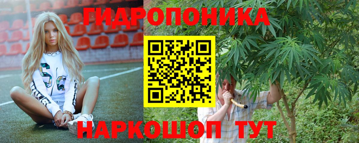 Каннабис Amnesia Петрозаводск